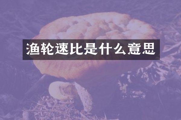 渔轮速比是什么意思