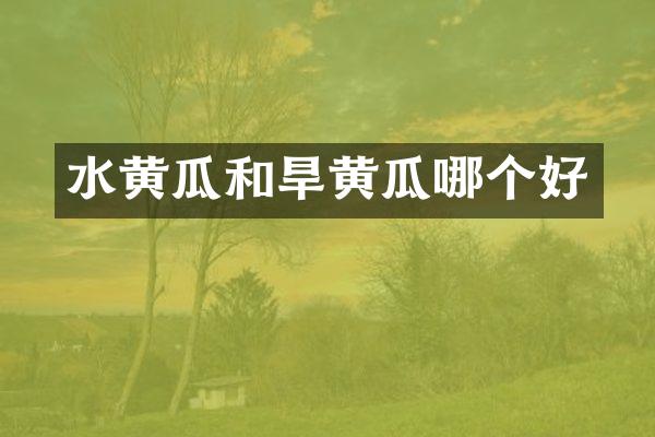 水黄瓜和旱黄瓜哪个好