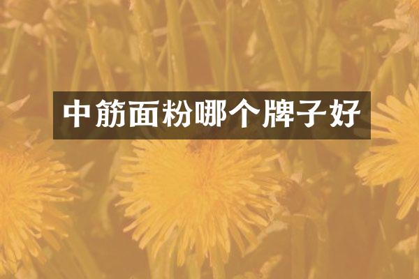 中筋面粉哪个牌子好