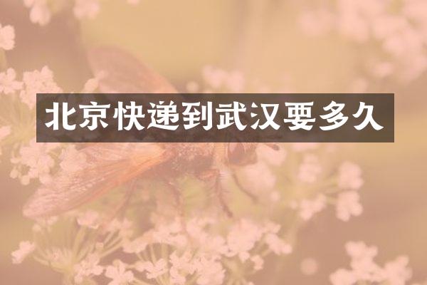 北京快递到武汉要多久