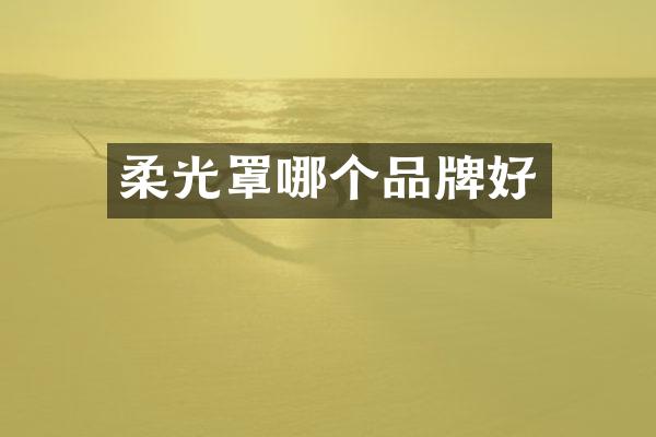 柔光罩哪个品牌好