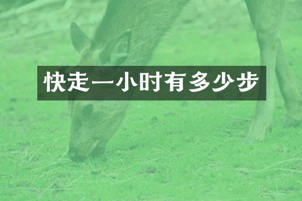 快走一小时有多少步