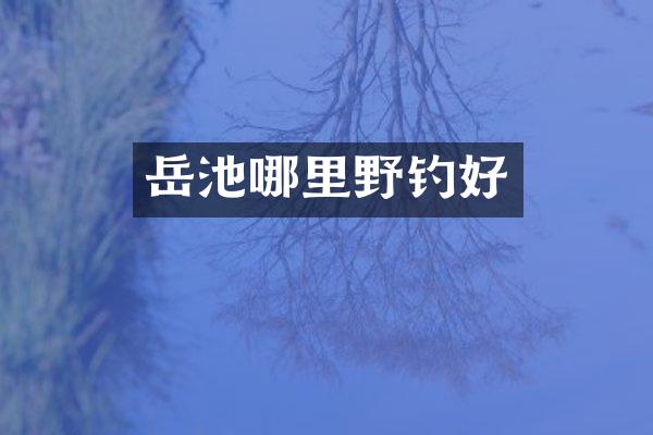 岳池哪里野钓好