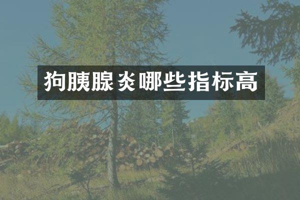 狗胰腺炎哪些指标高