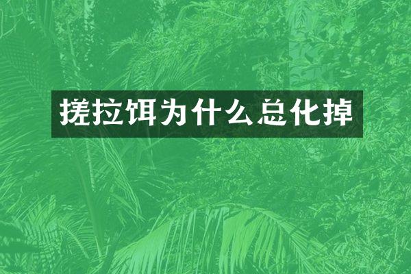搓拉饵为什么总化掉