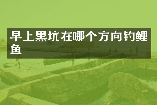 早上黑坑在哪个方向钓鲤鱼