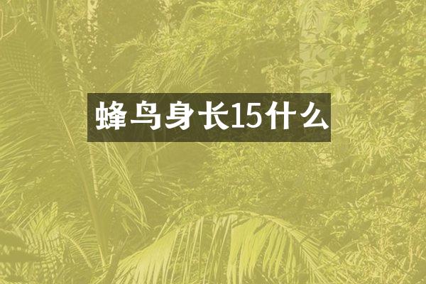 蜂鸟身长15什么