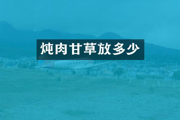 炖肉甘草放多少