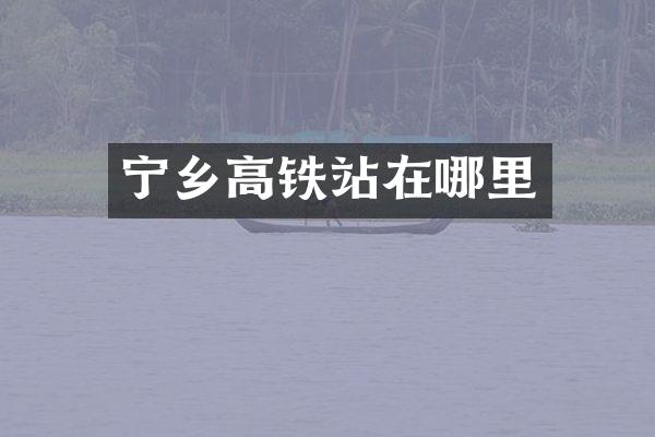 宁乡高铁站在哪里