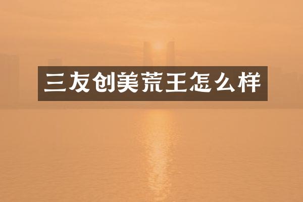 三友创美荒王怎么样