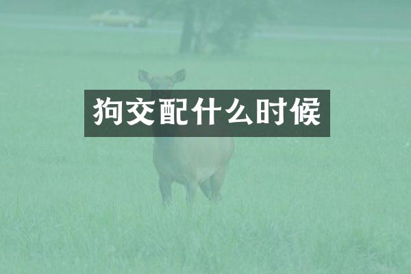 狗交配什么时候