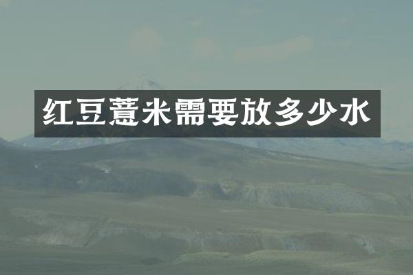 红豆薏米需要放多少水