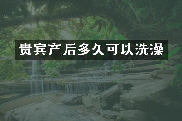 贵宾产后多久可以洗澡