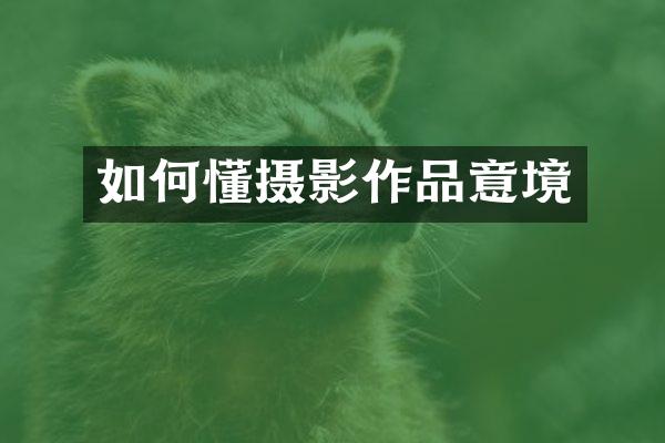 如何懂摄影作品意境