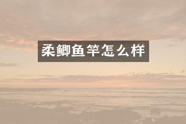 柔鲫鱼竿怎么样