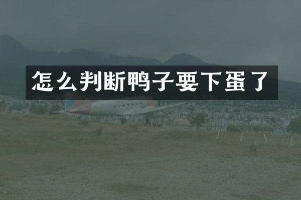 怎么判断鸭子要下蛋了