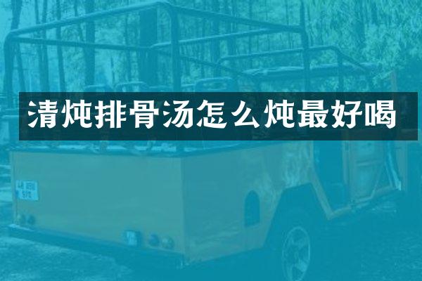 清炖排骨汤怎么炖最好喝