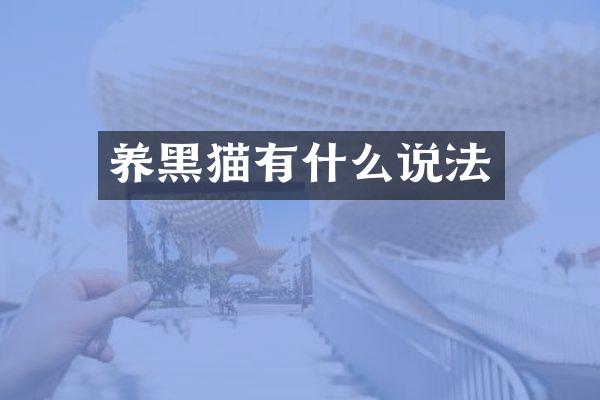 养黑猫有什么说法