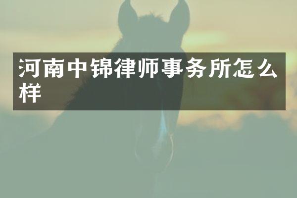 河南中锦律师事务所怎么样