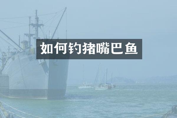 如何钓猪嘴巴鱼