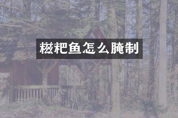 糍粑鱼怎么腌制