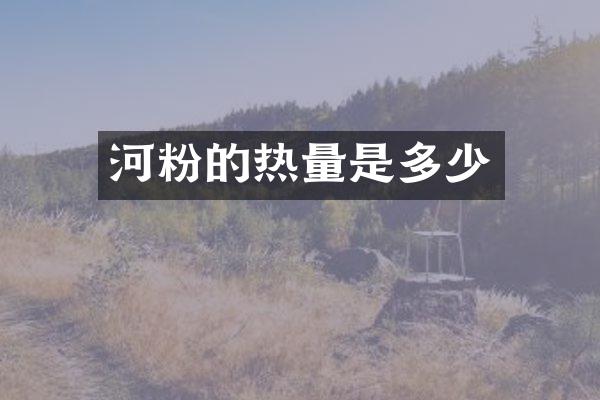 河粉的热量是多少