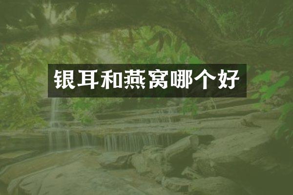 银耳和燕窝哪个好