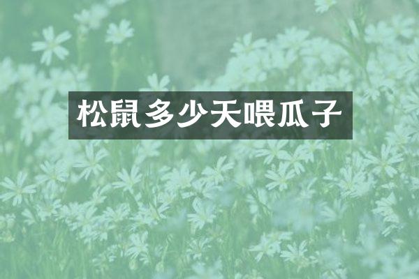 松鼠多少天喂瓜子