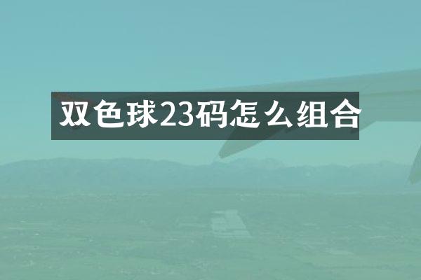 双色球23码怎么组合