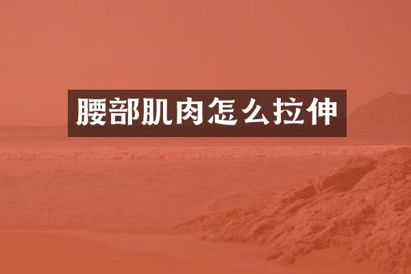 腰部肌肉怎么拉伸