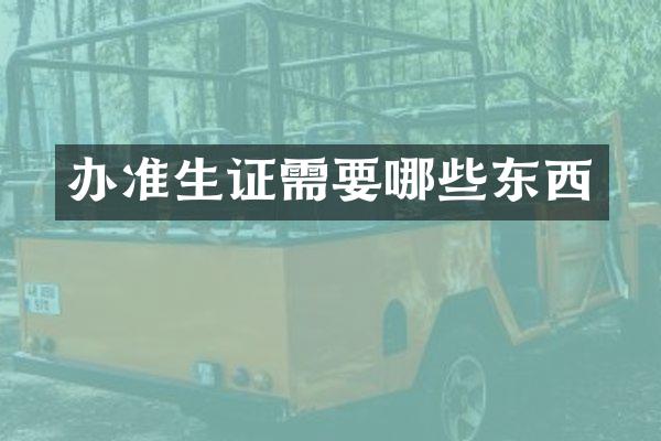 办准生证需要哪些东西