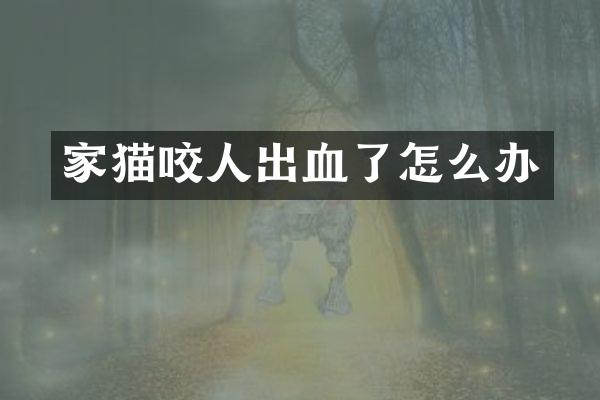 家猫咬人出血了怎么办