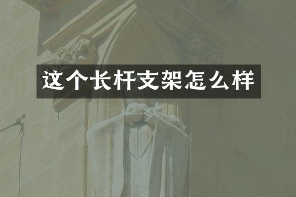 这个长杆支架怎么样