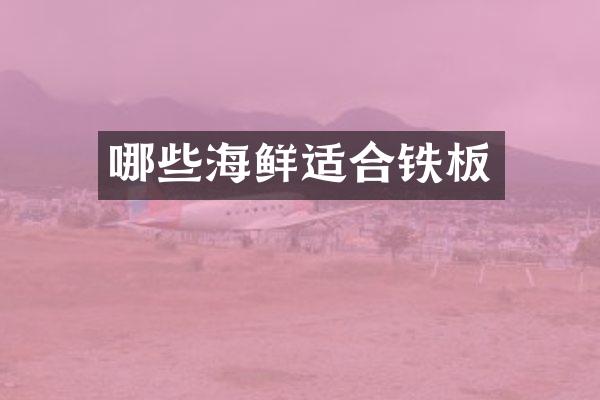 哪些海鲜适合铁板