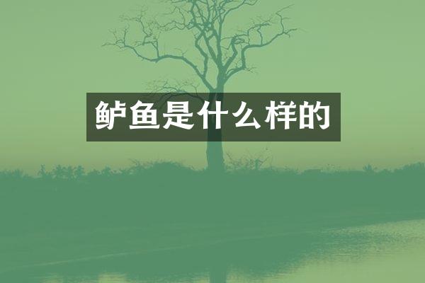 鲈鱼是什么样的