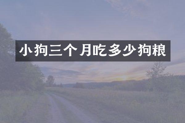 小狗三个月吃多少狗粮