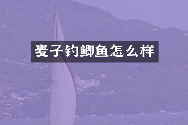 麦子钓鲫鱼怎么样