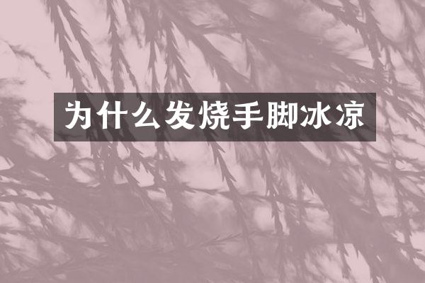 为什么发烧手脚冰凉