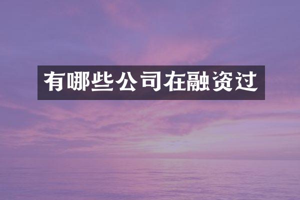 有哪些公司在融资过