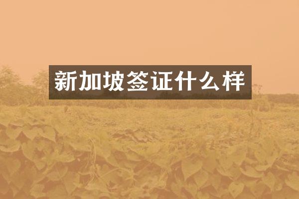 新加坡签证什么样