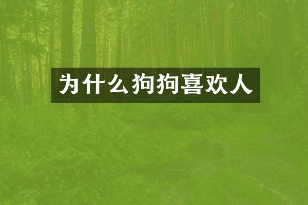 为什么狗狗喜欢人