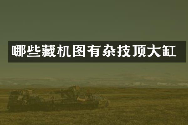 哪些藏机图有杂技顶大缸