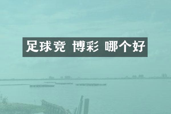 足球竞 博彩 哪个好