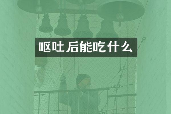 呕吐后能吃什么