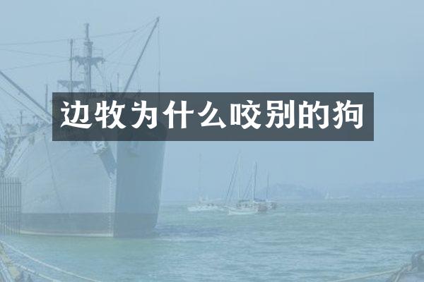 边牧为什么咬别的狗