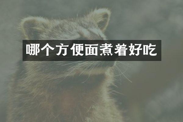 哪个方便面煮着好吃