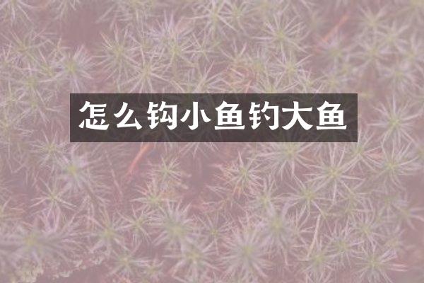 怎么钩小鱼钓大鱼