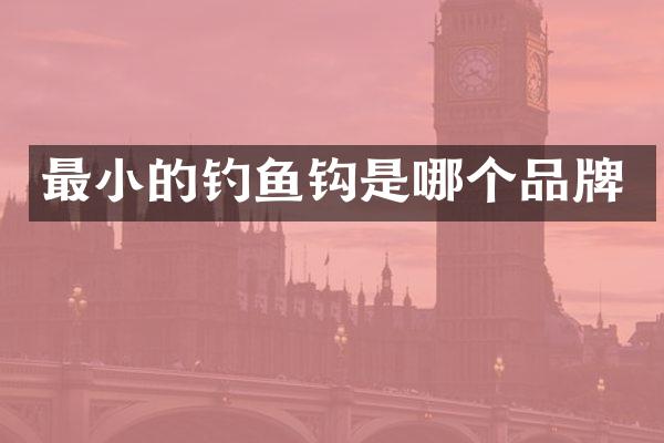 最小的钓鱼钩是哪个品牌