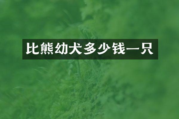 比熊幼犬多少钱一只
