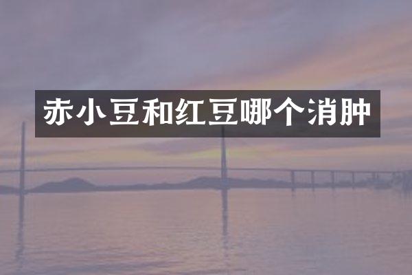 赤小豆和红豆哪个消肿